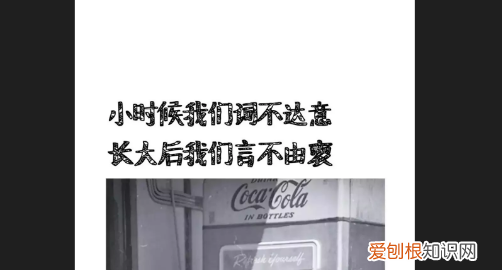 词不达意的下一句是什么，或许我词不达意,下一句是啥