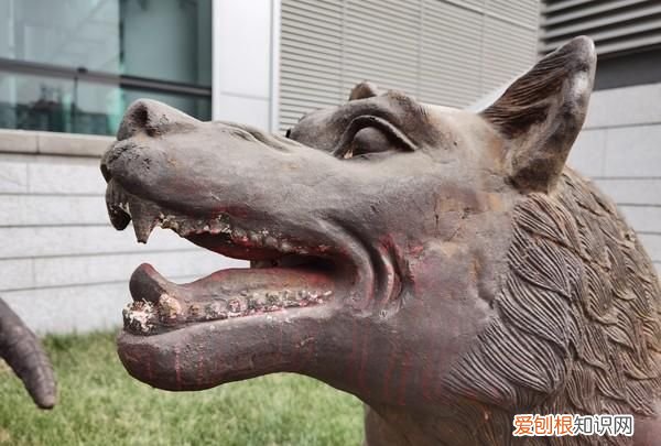 华为p40pro评测科技美学