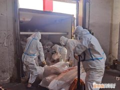 新疆援沪的羊肉去哪儿了？