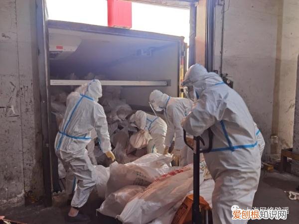 新疆援沪的羊肉去哪儿了？