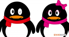 在QQ看点中如何打开点赞通知