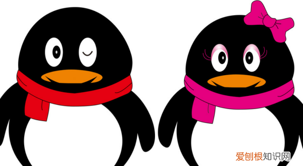 在QQ看点中如何打开点赞通知