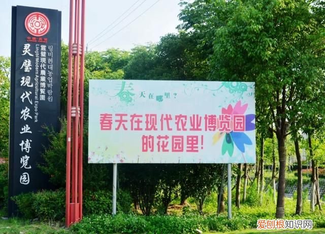 宿州地区6个4a级景区3月8日免费开放吗