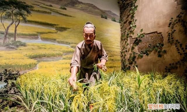 宿州地区6个4a级景区3月8日免费开放吗