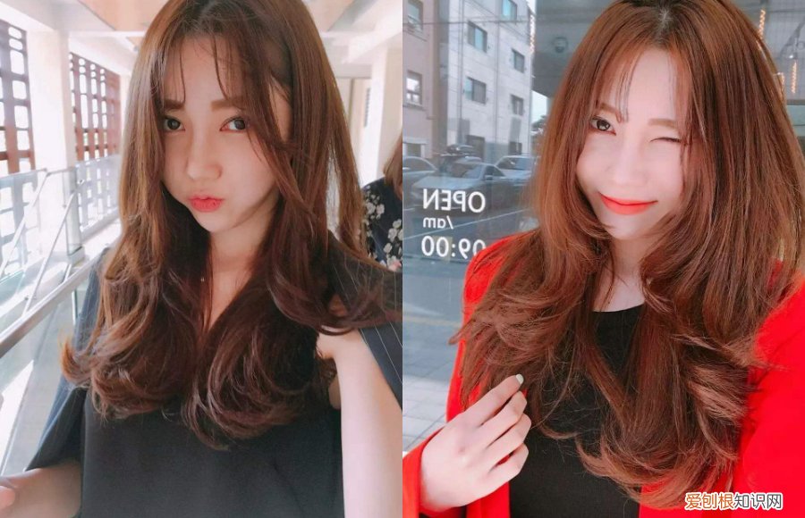 海娜植物染发哪个牌子是纯天然的