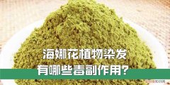海娜植物染发哪个牌子是纯天然的