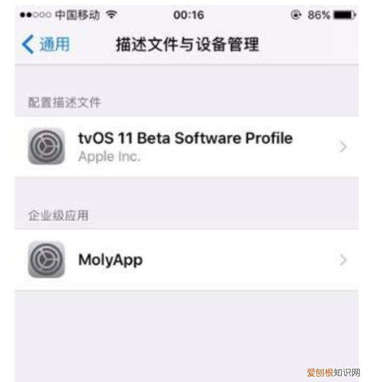 苹果怎么微信分身