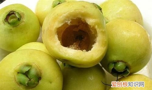 木葡萄可以吃吗,葡萄架下可以停车