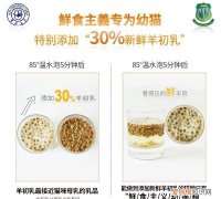 野猫喂什么给它吃