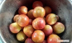 李子怎么保存到冬天，5年没有修剪过的李子树冬季怎么修剪