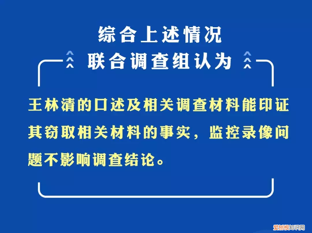 王林清窃取卷宗案一审获刑14年