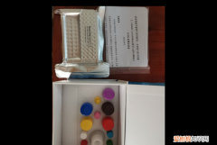 什么是试剂空白，生化仪项目参数设置里面空白类型有试剂空白水空白血清空白