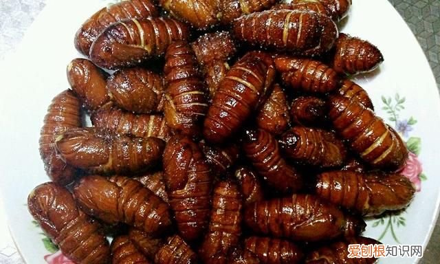 怎么样炒蚕蛹炒出来发酥 炒蚕蛹怎么做酥脆