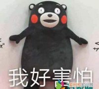 怯怯的意思，网络用语瑟瑟发抖是什么意思