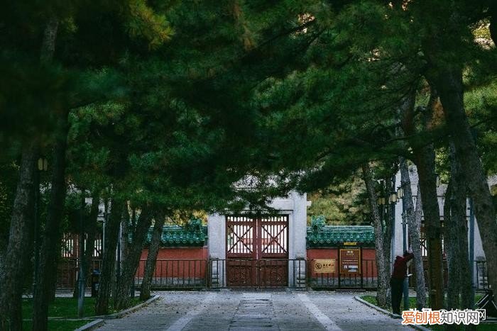 佳能长焦镜头哪个性价比高