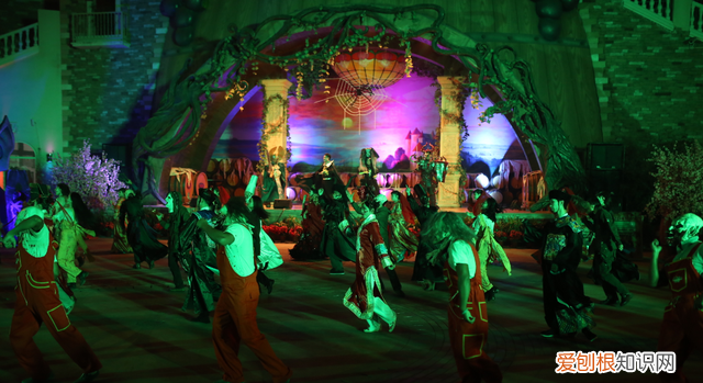 天津欢乐谷您可以享受世界一流的水陆盛宴吗