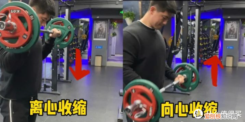 健腹轮可以瘦肚子吗?