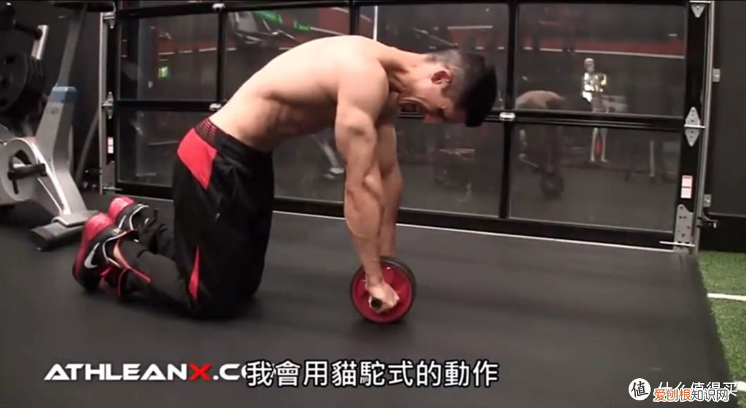 健腹轮可以瘦肚子吗?