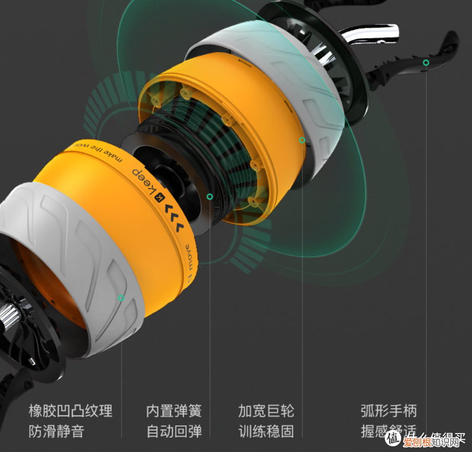 健腹轮可以瘦肚子吗?