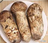 松茸为什么不能水洗，什么菌菇不能用水洗