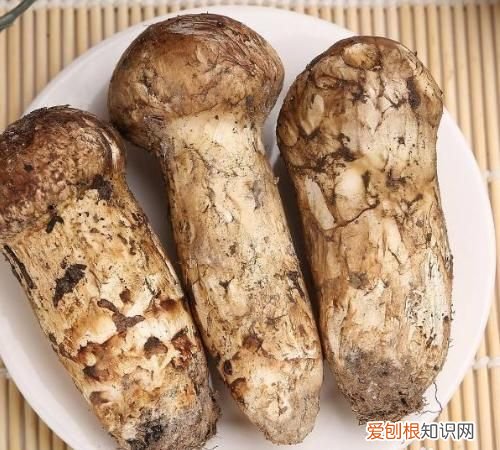 松茸为什么不能水洗,什么菌菇不能用水洗