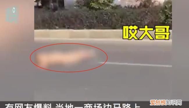 路趴是什么