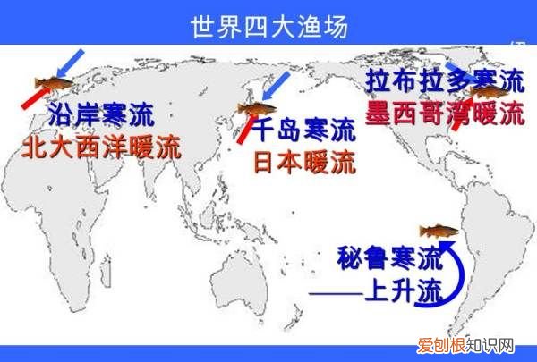 世界四大渔场的分布和成因，世界四大渔场形成的原因是什么