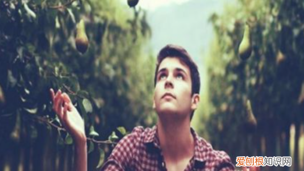 说一个人轴是什么意思，说一个人很轴是什么意思是什么