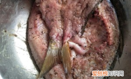 腌腊鱼十斤鱼放多少盐