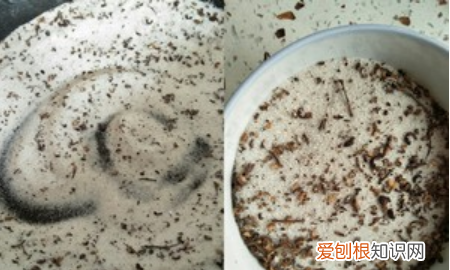 腌腊鱼十斤鱼放多少盐