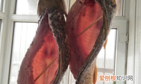 腌腊鱼十斤鱼放多少盐