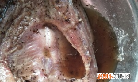 腌腊鱼十斤鱼放多少盐