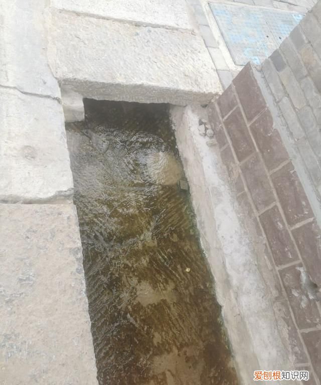 临沂临沭朱村 临沂临沭朱村