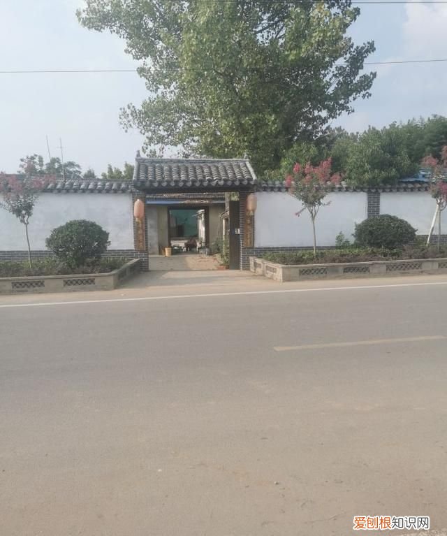 临沂临沭朱村 临沂临沭朱村