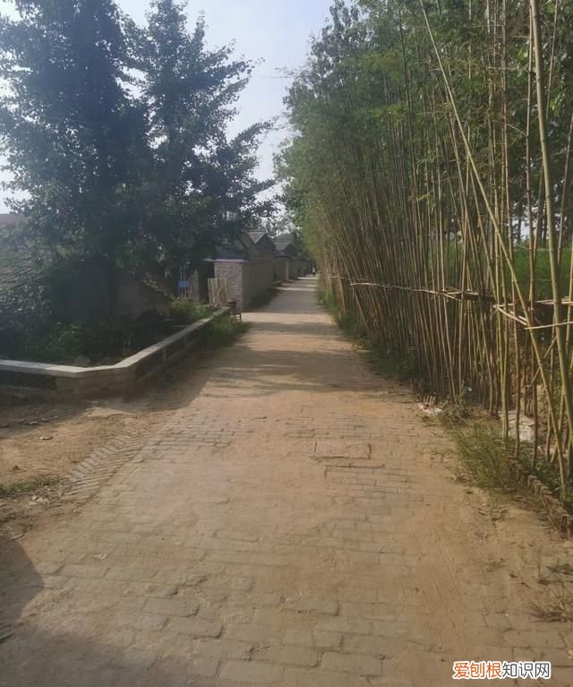 临沂临沭朱村 临沂临沭朱村