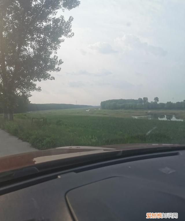 临沂临沭朱村 临沂临沭朱村