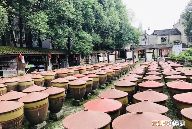 去成都郫都区哪里最近 从郫县到宽窄巷子的攻略图