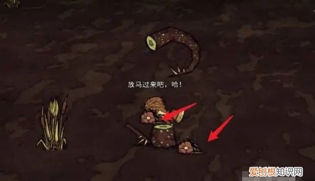 饥荒伍迪变成鸡怎么办