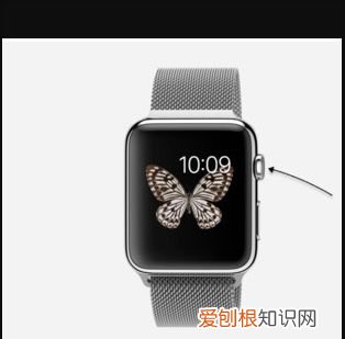 苹果手表能听歌