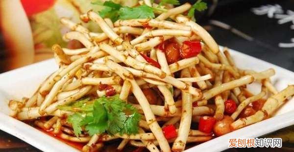 怎么做凉拌折耳根,凉拌折耳根的制作方法视频