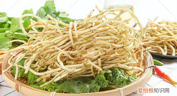 怎么做凉拌折耳根,凉拌折耳根的制作方法视频