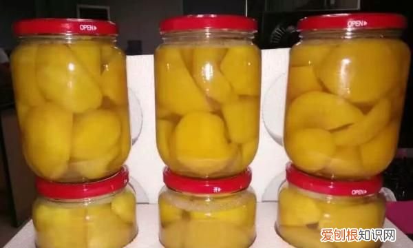 怎么自己在家做好吃的苹果罐头