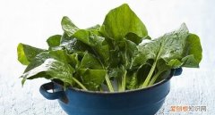 什么食物黄体酮最多，什么蔬菜被誉为天然黄体酮