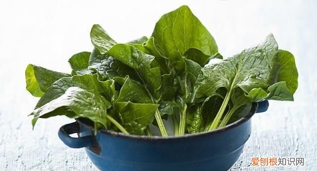 什么食物黄体酮最多，什么蔬菜被誉为天然黄体酮