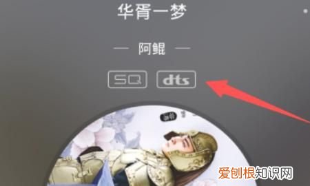 qq音乐的dts怎么没有了