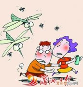 如何用风油精驱赶隐翅虫，乡下房间里很多隐翅虫怎么办