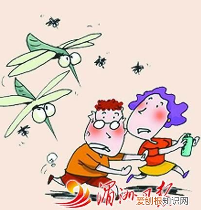 如何用风油精驱赶隐翅虫，乡下房间里很多隐翅虫怎么办