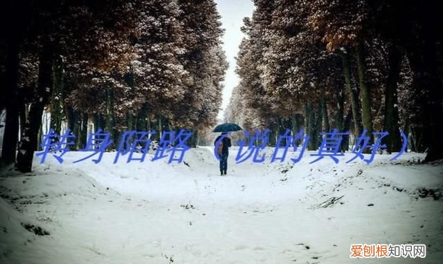 形同陌路是什么意思，一别两宽形同陌路是什么意思