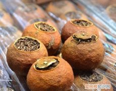 桔普茶怎么泡，家里的普洱茶长了小虫虫怎么办