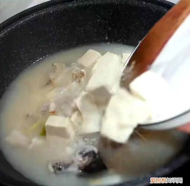 鱼头豆腐汤的家常做法简单,鱼头豆腐汤怎么做汤奶白